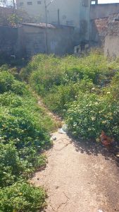 WhatsApp-Image-2026-05-21-at-06.03.50-1-169x300 Moradores pedem limpeza na Praça Santa Isabel e Alto do Corte